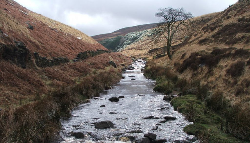 01_River_in_Wessenden_Valley._-_geograph.org.uk_-_145629
